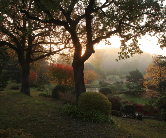 Jardin Zen Erik Borja